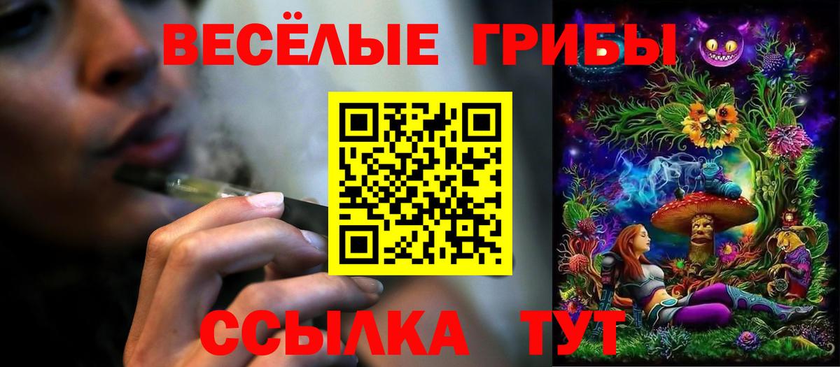 где можно купить наркотик  Вход с VPN  Кинель  Галлюциногенные грибы MAGIC MUSHROOMS 